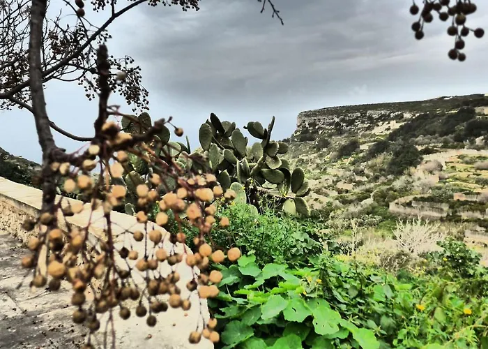 Gozo Entire With Large Pool Sea And Country Views * Xaghra